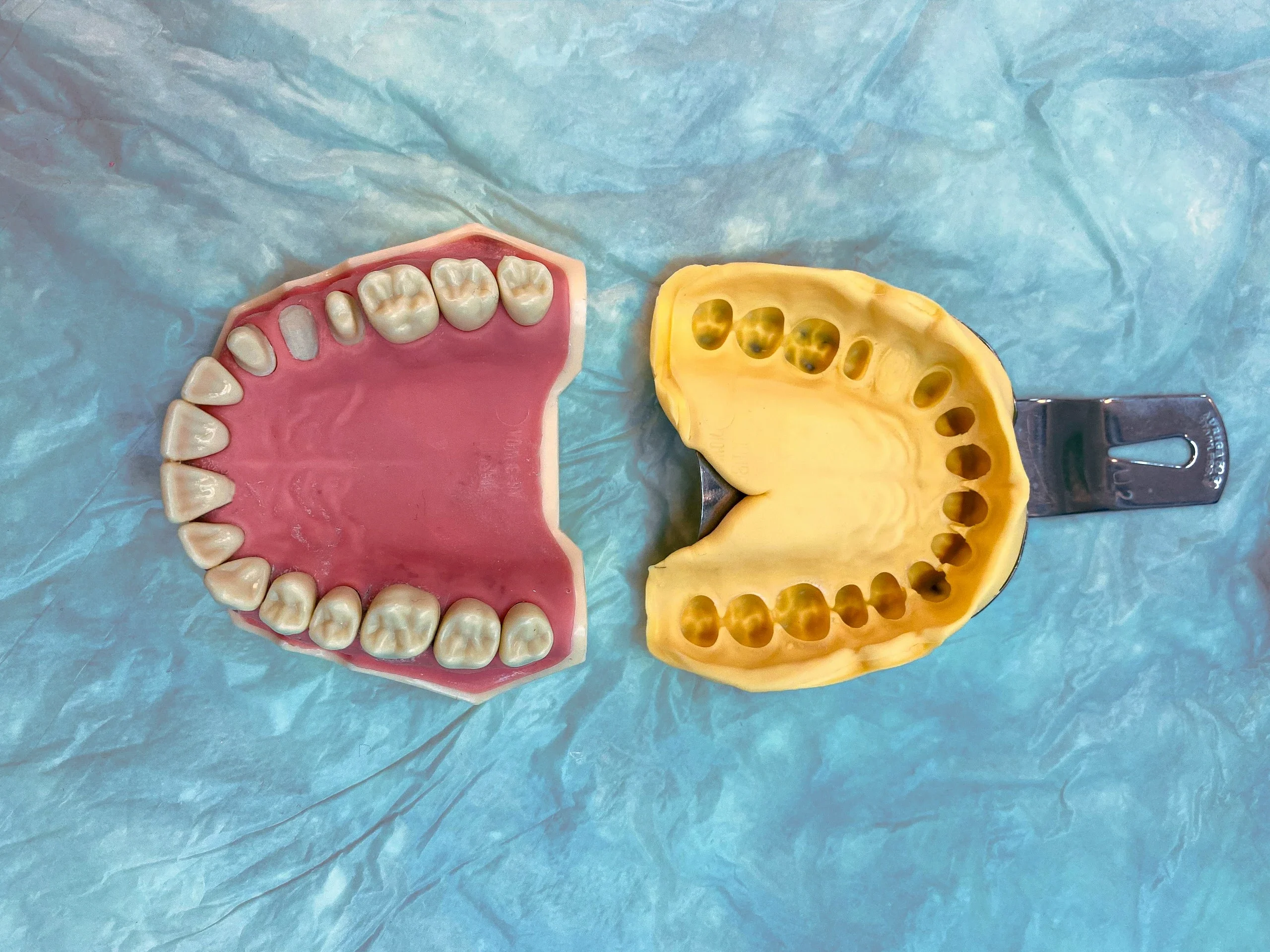 A dental imprint of a complete model jaw