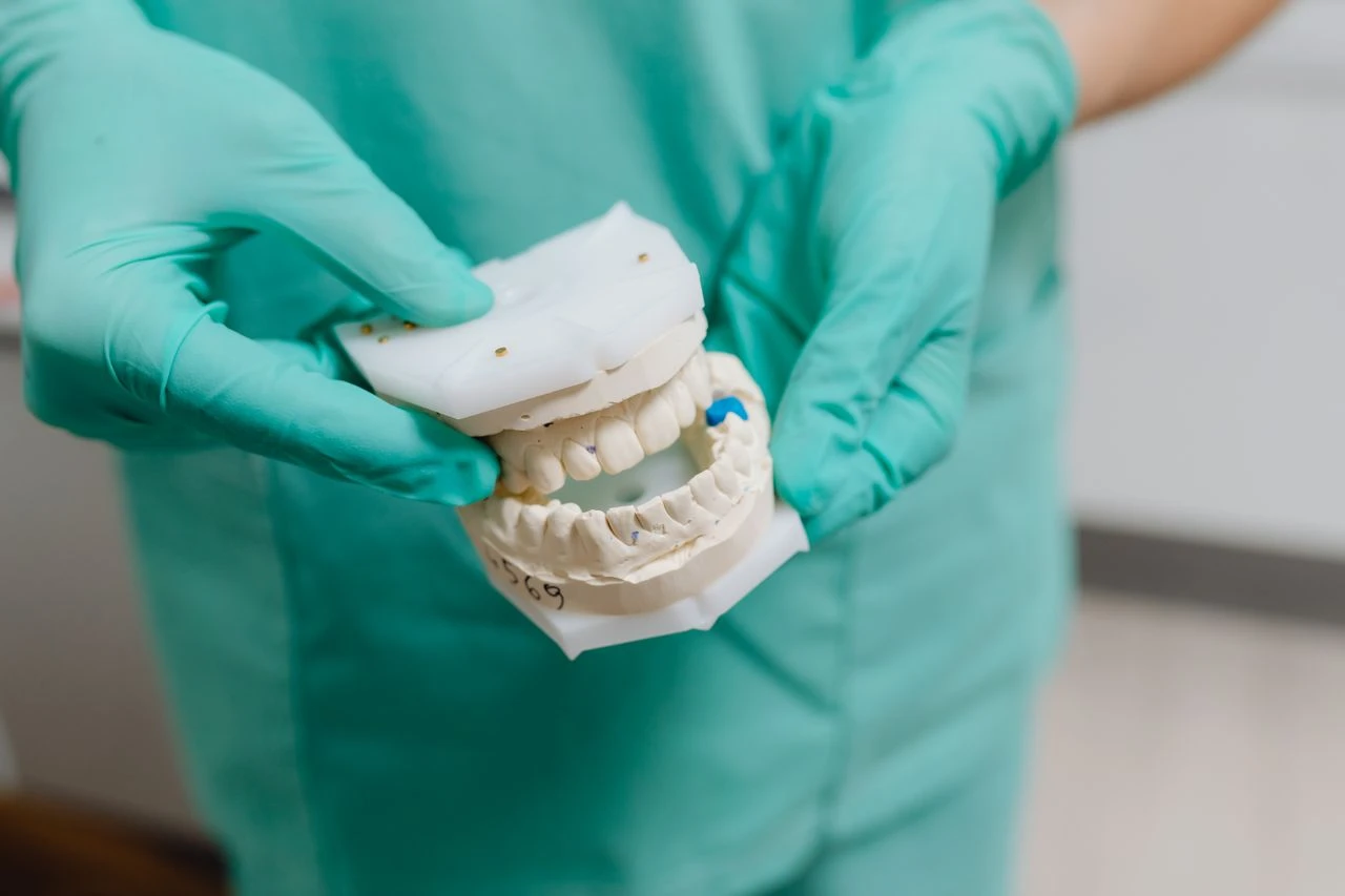 A dentist in gloves holds a detailed dental cast, showcasing dental care precision