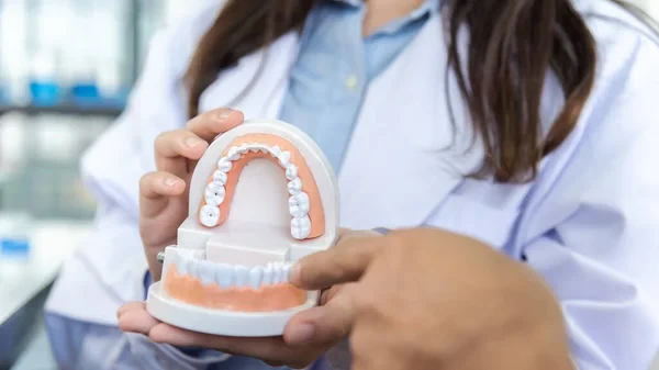 Plastic teeth model